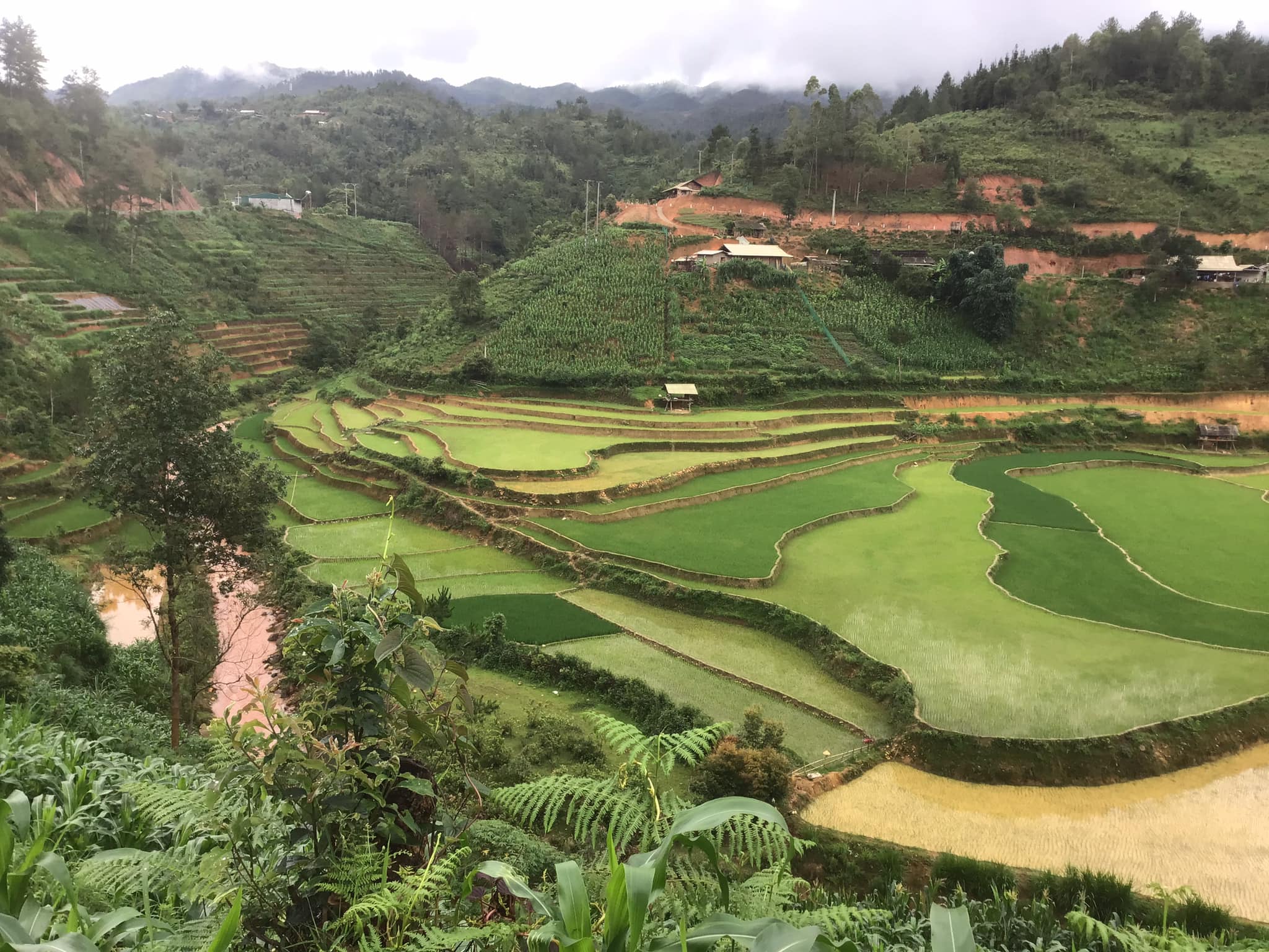 Phong Nha Countryside Bicycle Tours 1 Day